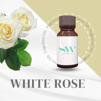 White-Rose-Fragrance-Oil
